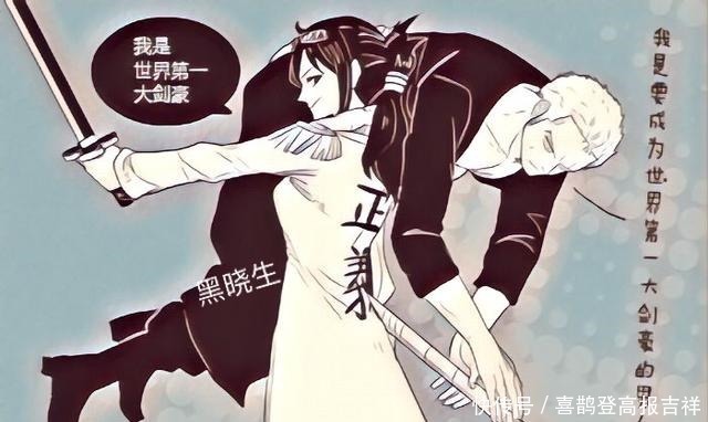 晓生|索隆怕是服用过单身果实吧!多如流水的后宫,一瓢不取!
