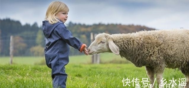 刺猪|进化学角度来看,一块腹肌才是完美形态