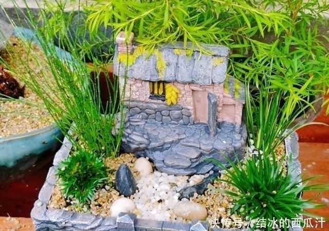用石头盘子来养花，变成小盆景，价值能翻好几倍