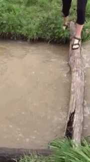 |搞笑GIF:看这熟练的程度 她们肯定不是第一次了