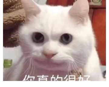 孟美岐要洗白了？王一博退出天天？龚俊乔欣有CP？刘浩存不受影响？网红整容？