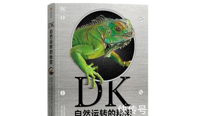 恐龙世界@DK图书大盘点第一季:少儿百科类