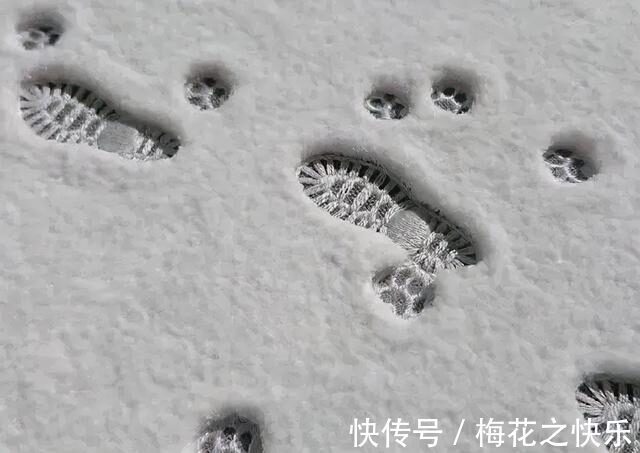 |今日段子郑渊洁教你如何不熬夜!还蛮有用的!哈哈哈哈