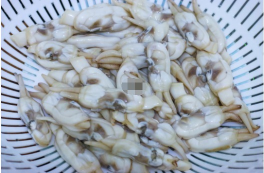  这种海鲜20块钱一斤，肉多味鲜，人人都适合！