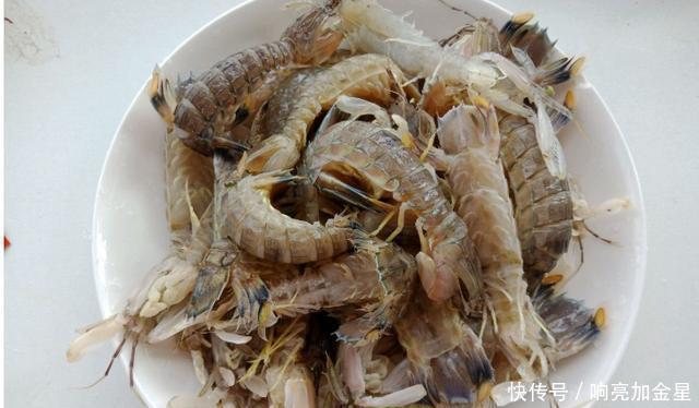 吃不起|11月海鲜属它肥美,抓紧时间再吃一次,过了这阶段吃不起了