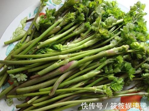 野菜|农村一种野菜,过去农民不敢吃,如今价值珍贵,卖20元一斤
