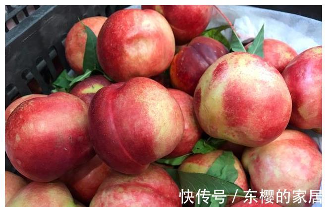 果蒂|买桃子别只知道看大小，记住这5点，买到的桃子个个新鲜又好吃