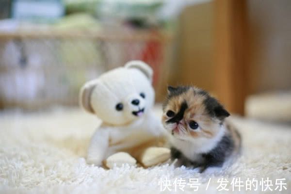 |幽默笑话:今天,我遇到了前女友,她说的话,让我胜读十年书!