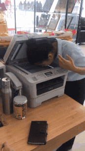 |搞笑GIF:放了我和我的孩子,今后我定会报答你