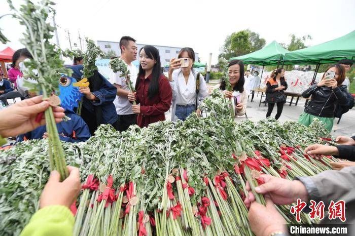 中医|脑洞大开！中医用的艾草还可以做蛋糕