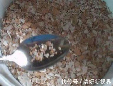 天冷后，吊兰、绿萝埋3种免费东西，再冷也能长成绿窗帘