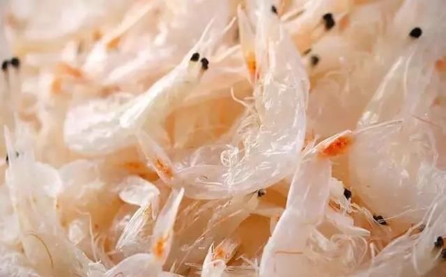 虾皮你还在吃吗我也是今天刚知道的,抓紧提醒家里人还不迟