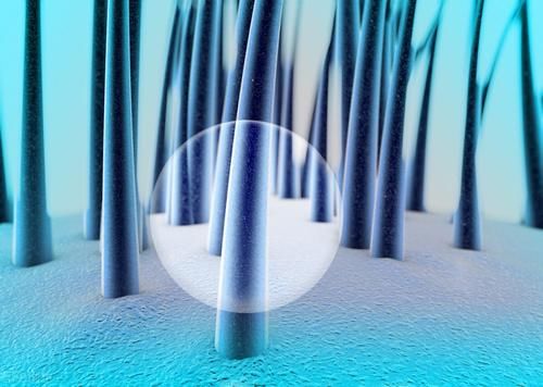 头发是从发根长，还是从发梢长？头发掉了，还会长出来吗？