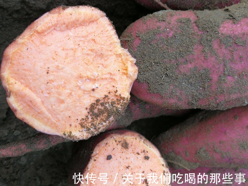 品种|中国哪里的红薯最好吃？认准这3个品种买，软糯香甜，细腻无纤维