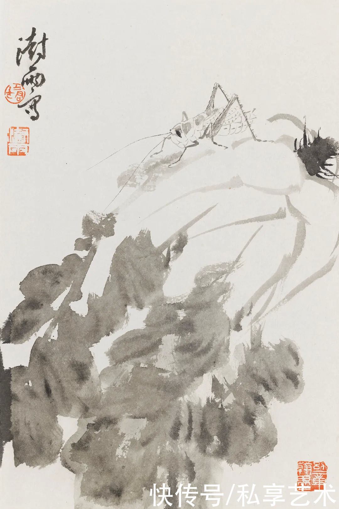 阴澍雨：平和动人的内美丨私享·艺术家
