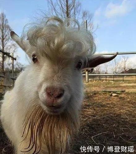 |开心一刻笑话 刚发完工资, 我偷偷藏了50块钱在鞋垫底下