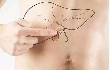 夜宵|饭后“一不要”,睡前“二不要”,肝脏好得不得了