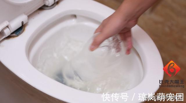 瓶盖|大瓶口的塑料瓶别扔了，简单改造一下，厉害又好用，家家都能用到