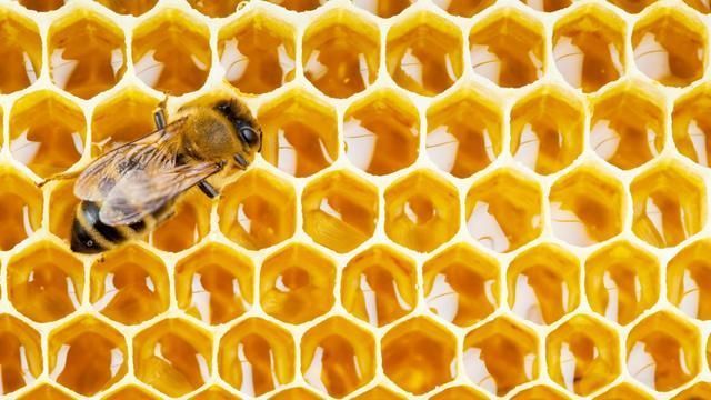 肉毒杆菌|1岁之前孩子,绝对不能吃这8样东西,妈妈们一定要注意