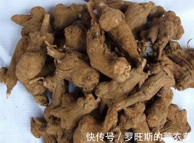 结节|这副经典中药方为何治疗结节、肿瘤疗效好,因为由4种虫类药组成