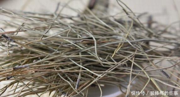 搜集的干松针,养花该怎么处理,如何用?