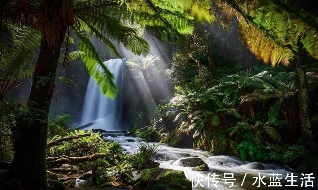 水穷处&王维最经典的一首五律,每一句都充满了禅理,无人能出其右