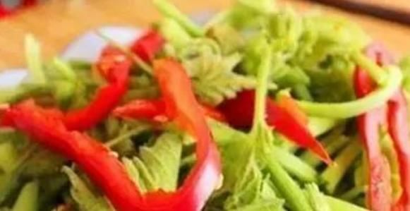 农村一常见菜叶子,还是降血压、去结石的特效药,学到就是赚到!