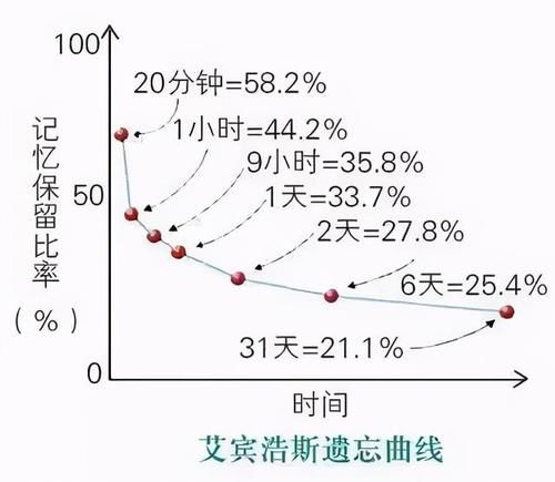 a34|熬夜变傻！你家的孩子回家立即写作业吗