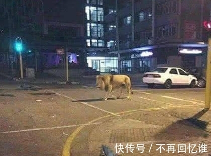 |幽默笑话:老婆怀孕,一直在娘家住,昨晚加班挺晚的