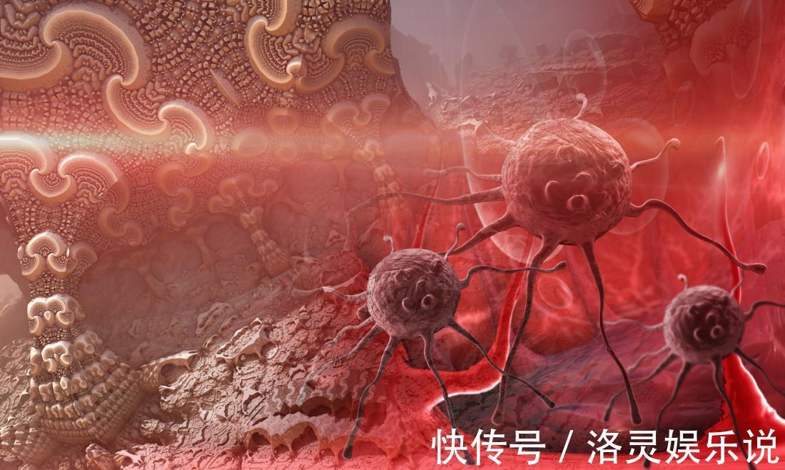 可可|癌症最怕的5种零食，告诉爸妈每天吃一点，可远离癌症！