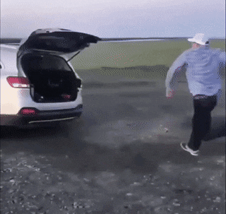 |搞笑GIF动图:老哥你这是叫鱼给钓了吧