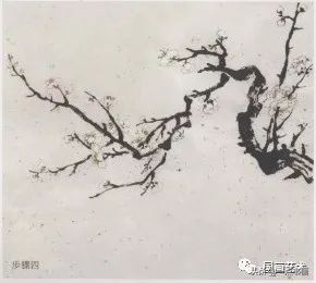 梅花$分享几组写意梅花创作示范