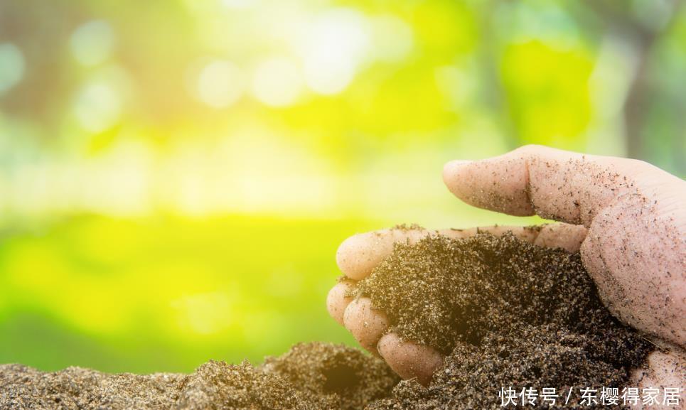 种水|养花不能用的3种土、4种水,不利于花卉生长,啥花都养不久