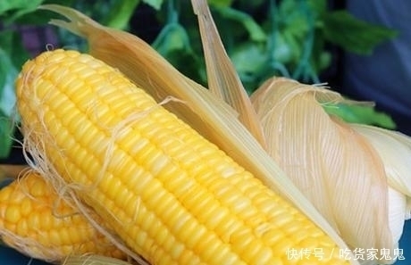 本地玉米|玉米如何储存是先煮后冻，还是先冻后煮，做对了，玉米鲜甜如初