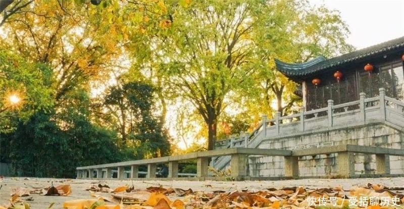 它是南京著名景点，拥有主城最大银杏林，秋天景色绝美，还免门票