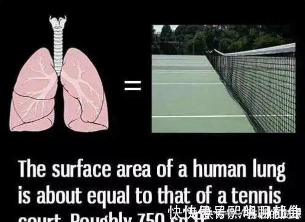 全球仅1国！用600吨垃圾，硬生生建了条高速公路，中国太厉害