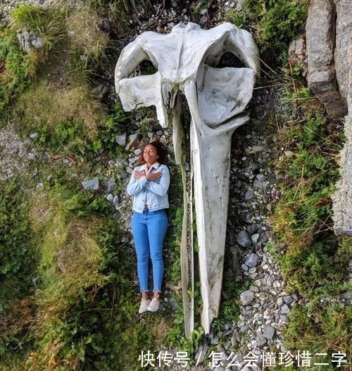 21个鲜为人知的冷知识可能让你重新认识这个世界