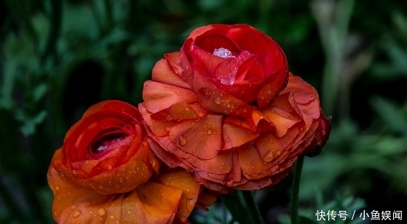 他是隋唐第五条好汉,却死在一匹马的尾巴上,最后秦琼替他报仇!