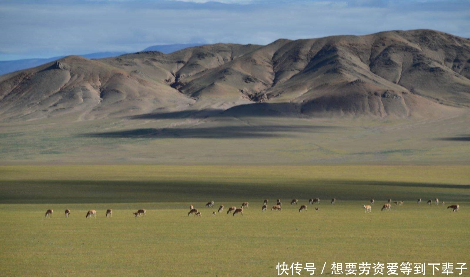 中国西藏有一片荒原,堪称面积最大的无人区,风景却很优美