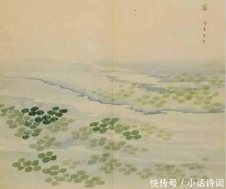 描写|新鲜植物也可以用来祭祀,诗经中的这位女子,就在为这件事忙碌着