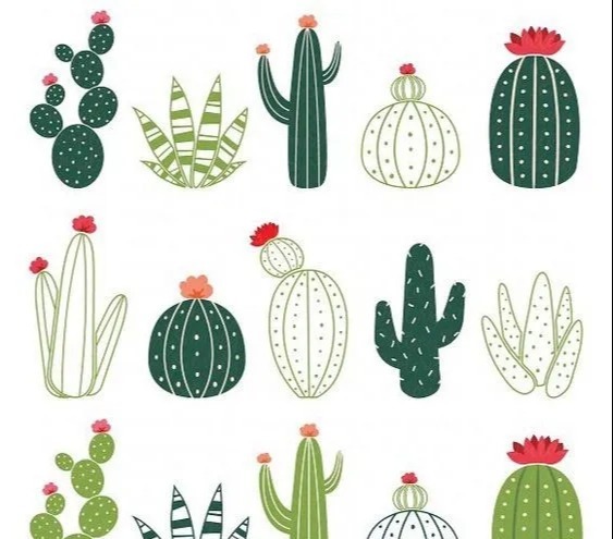 真正的懒人盆栽,不用任何管理也能花开常在!DIY纸艺手工附教程