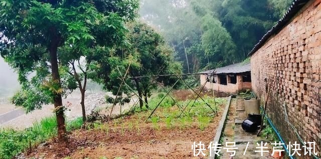 宅基地|农村房屋倒塌，有土地使用证，可以宅基地确权吗看完这个你就知道了