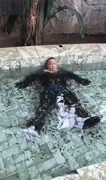 |搞笑GIF:你永远不知道妹子的脸有多大