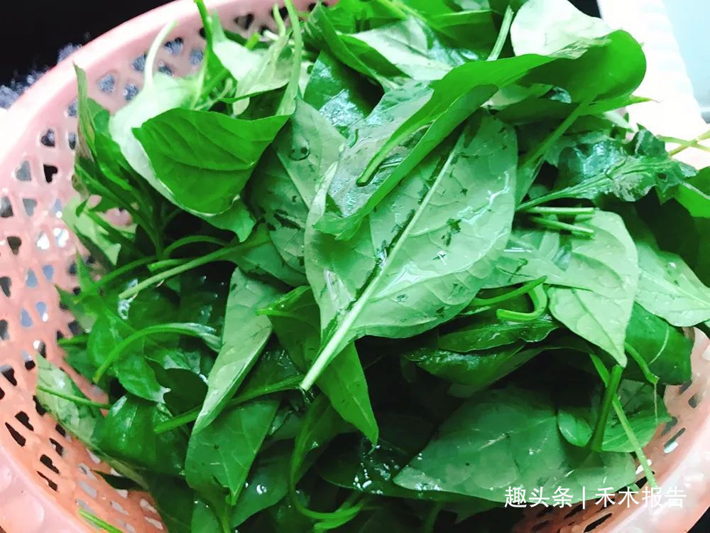 人们吃过它的果实，却不知叶子也能吃，甘甜鲜嫩，还是天然高钙菜