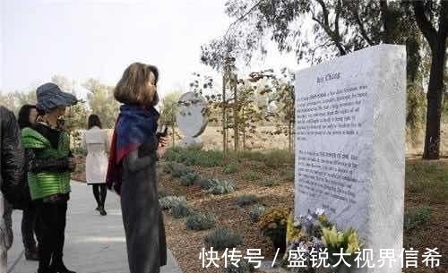 自杀|她吞枪自杀时,年仅36岁,全世界都沉浸在悲伤中,除了日本