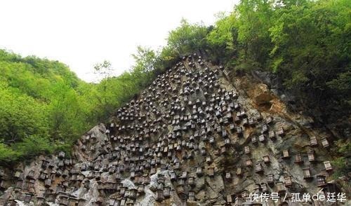 这个谜题难倒专家多年,曾出30万悬赏求答案,如今怎样了