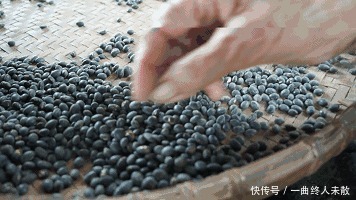 真的|吃黑豆能促排卵是真的吗是,但不科学