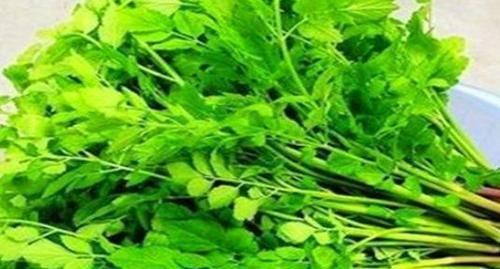 美容养颜|对身体最好的3种食物，美容养颜、延缓衰老，爱吃就赚了！