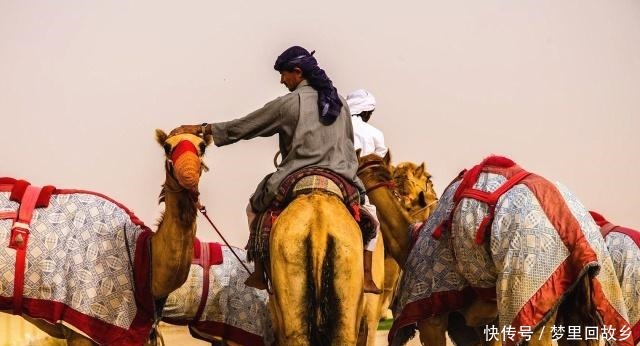 赚钱|俗语“人穷不碰三生意,没钱不做三买卖”,教你赚钱要有自知之明