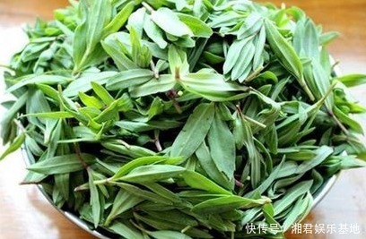 夏天|夏天多吃以下4种野菜,能清热解毒,消肿利尿,早知早受益